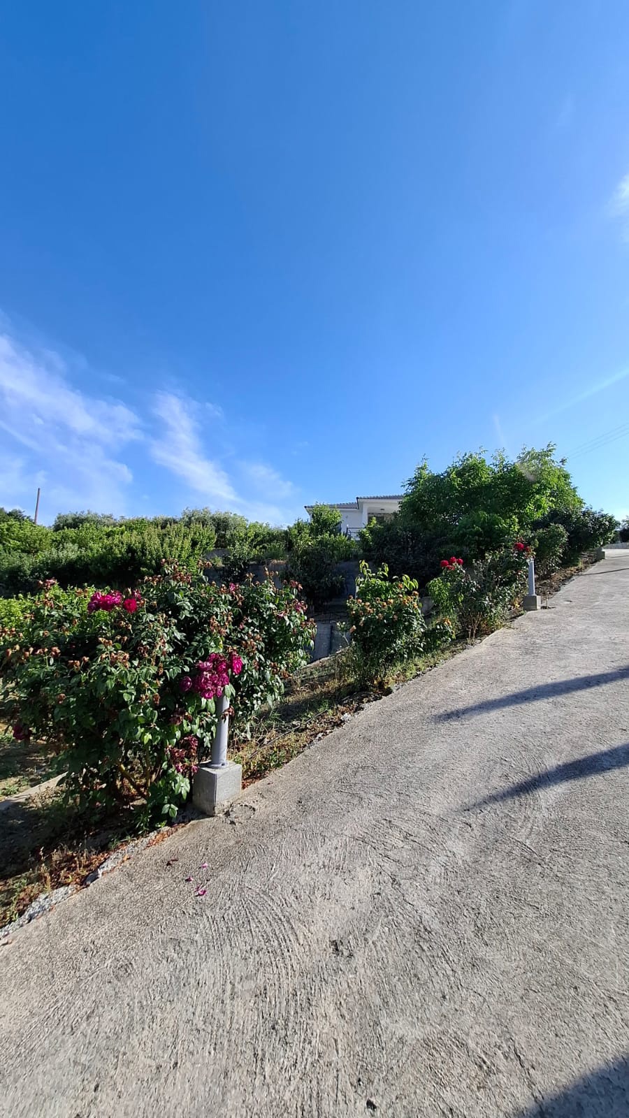 For sale, Ora, Detached house 48 sqr.m.
