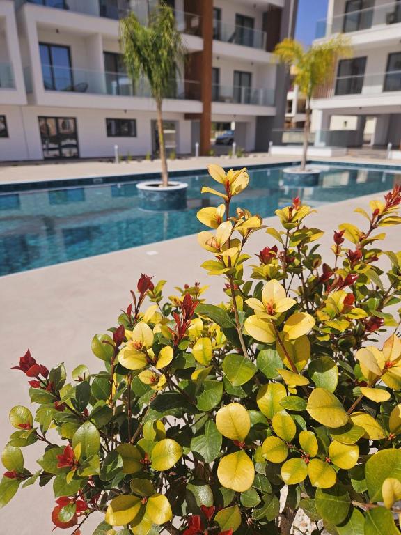 Studio Apartment for Sale in Prime Location Universal