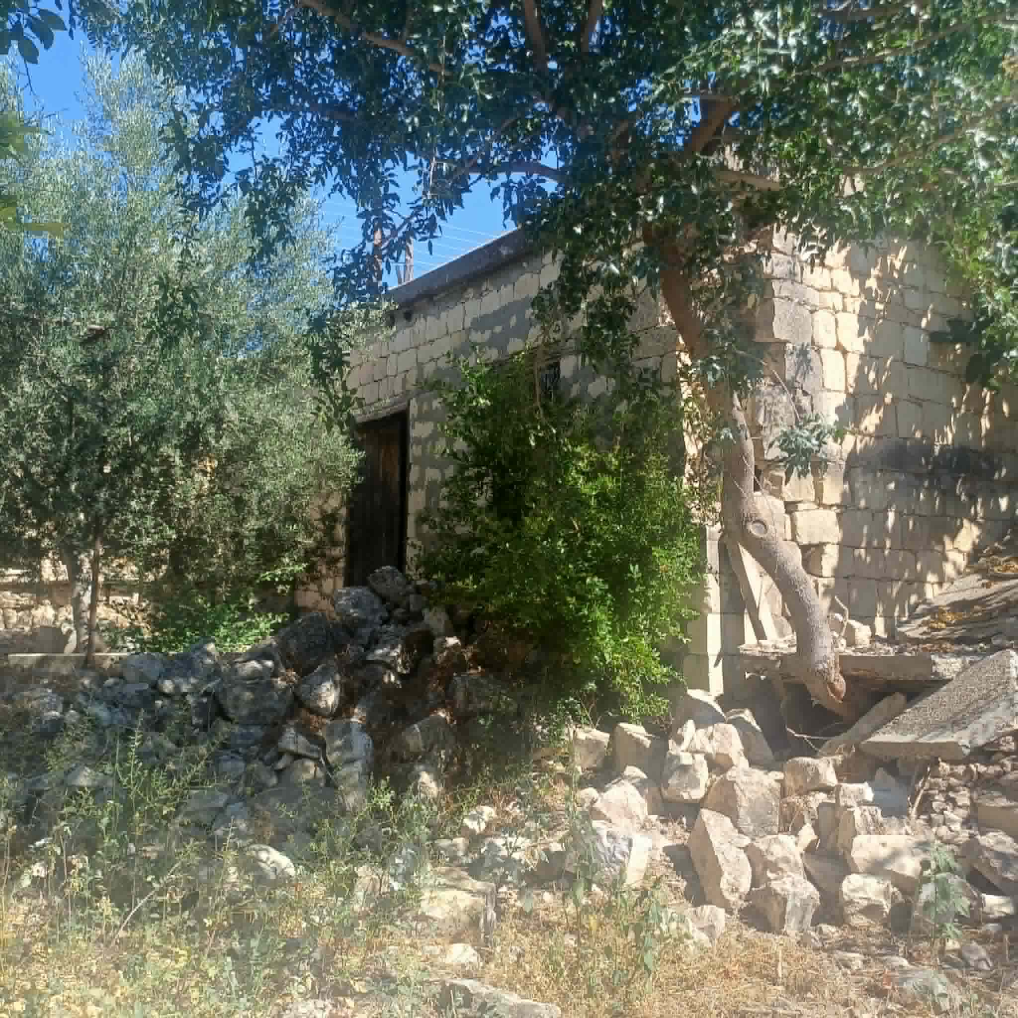 4 Bedroom Bungalow for Sale in Kritou Marottou, Paphos