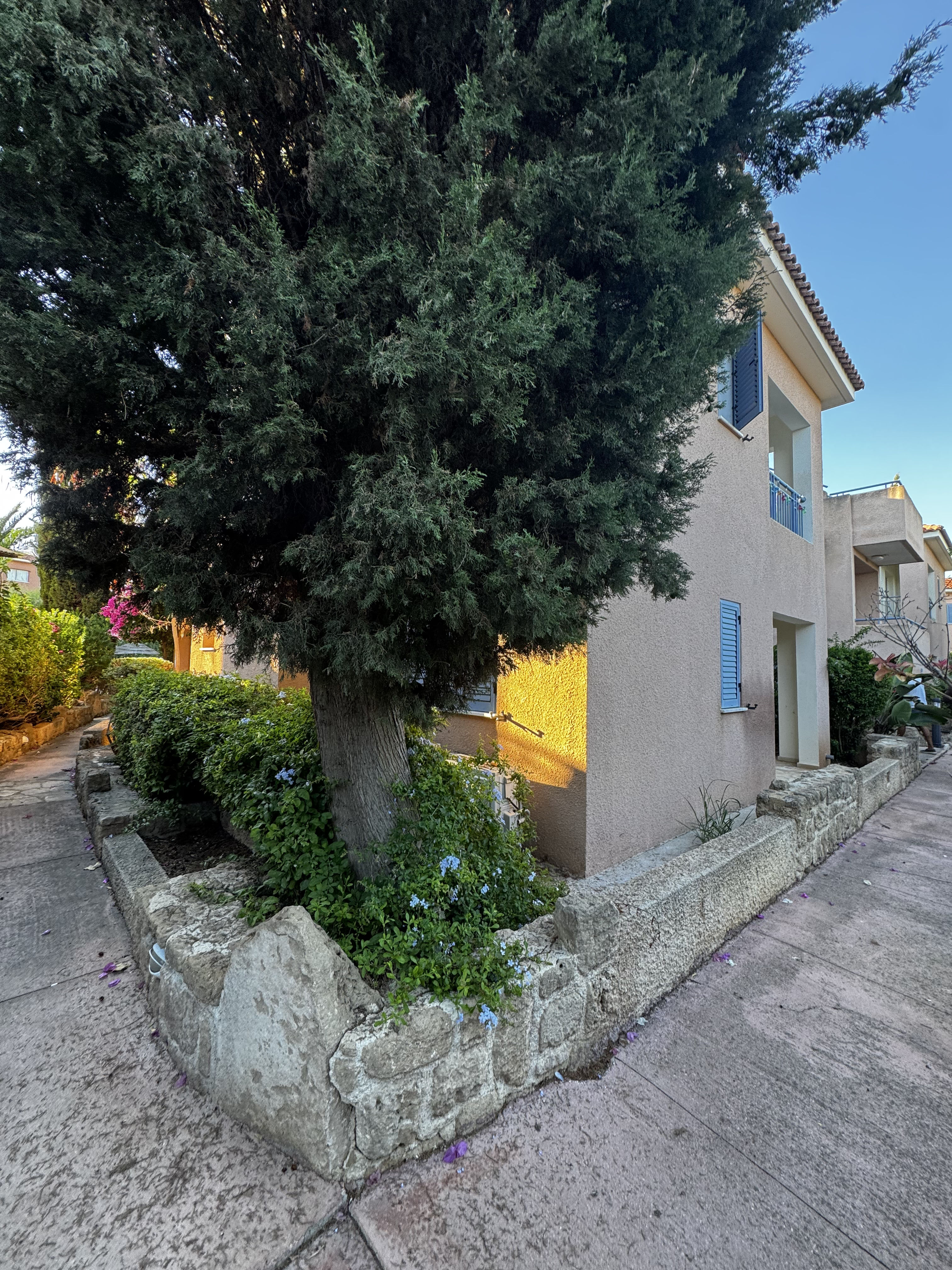 House in Mandria - Image 3