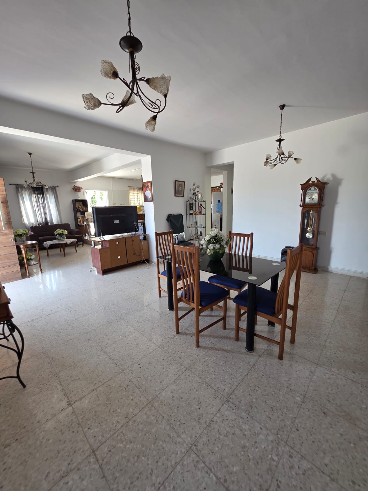 Spacious Home in Ormideia