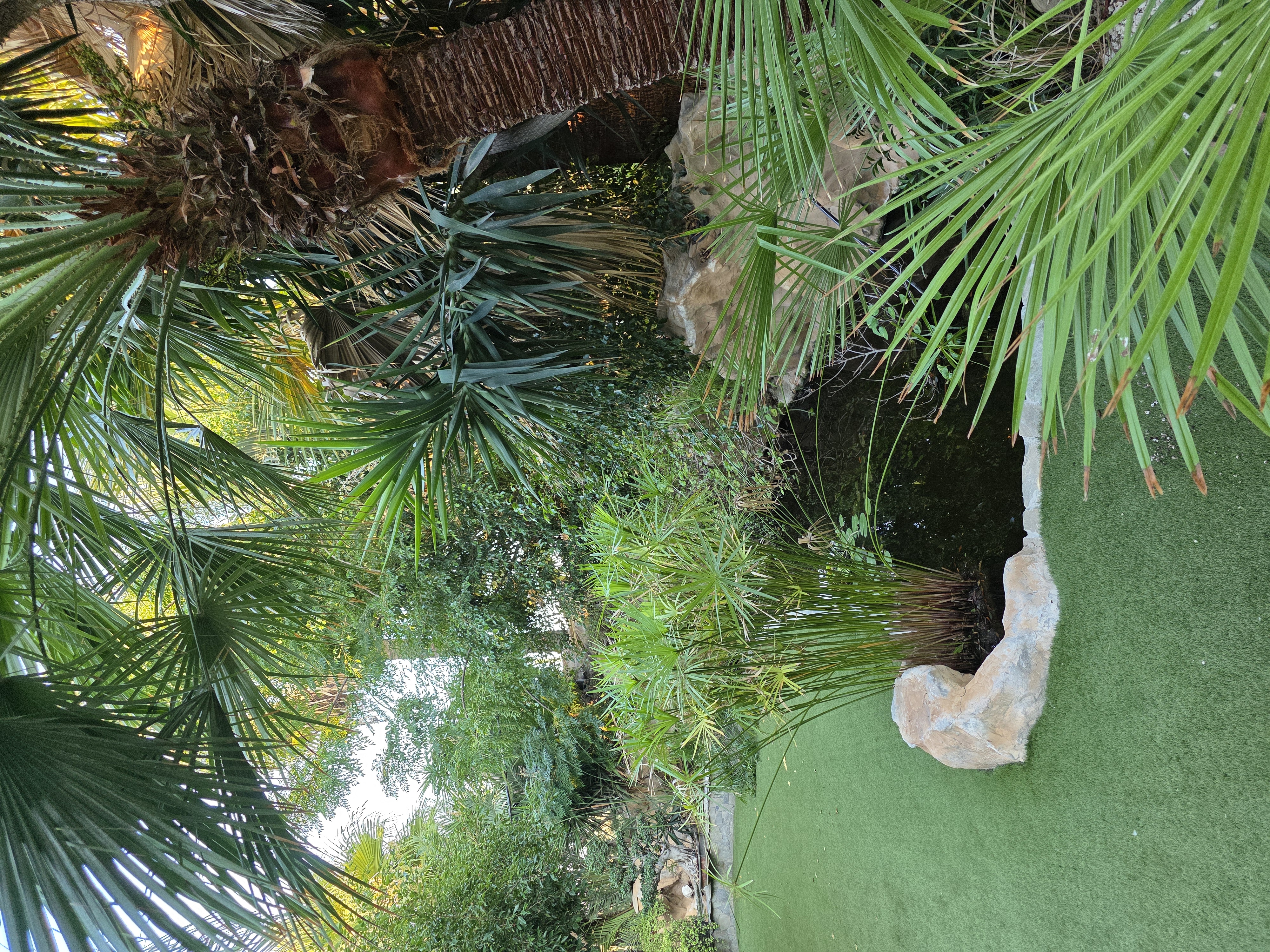 Large plot, with four bedroom, plus attic, house in Livadia