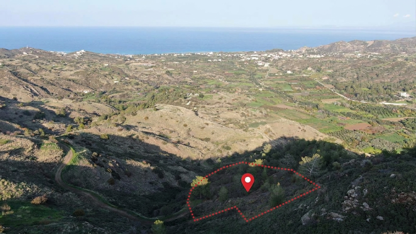 Residential field located in Pigenia, Nicosia