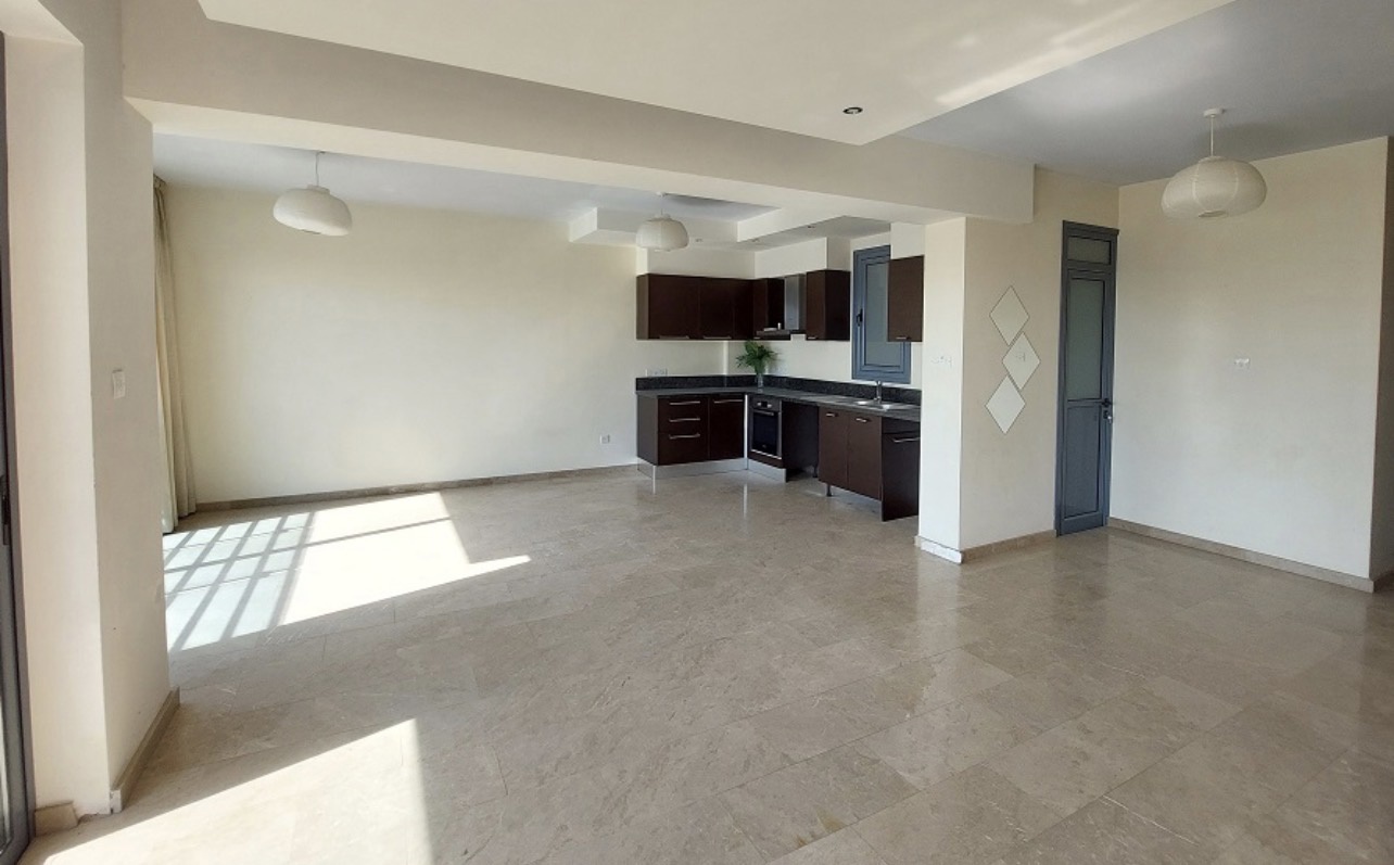 Sea Side Two Bedroom Douplex Apartment in Phinikoudes